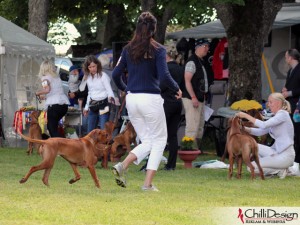 Souki running a demonstration laps