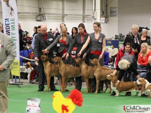 Kadamo Breedersgroup - final