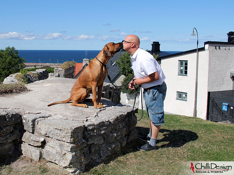 Dexter and Tomas standing at the ruins of Visborgs castle in Visby