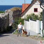Dexter and Tomas in Visby