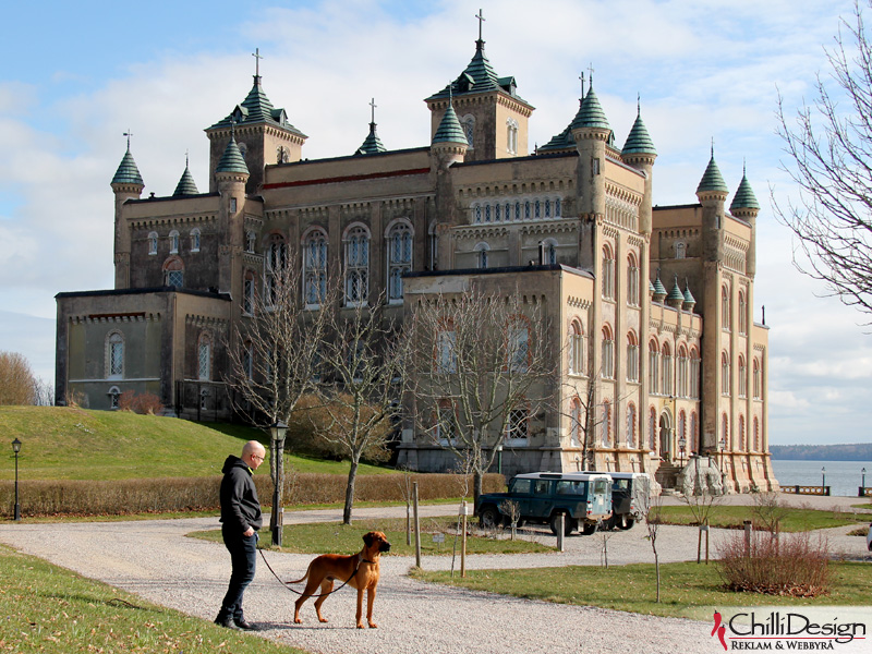 Tomas and Dexter at the Castle of Stora Sundby