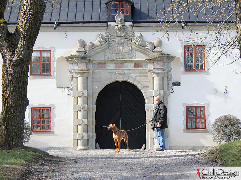 Dexter and Tomas at Tidö Castle