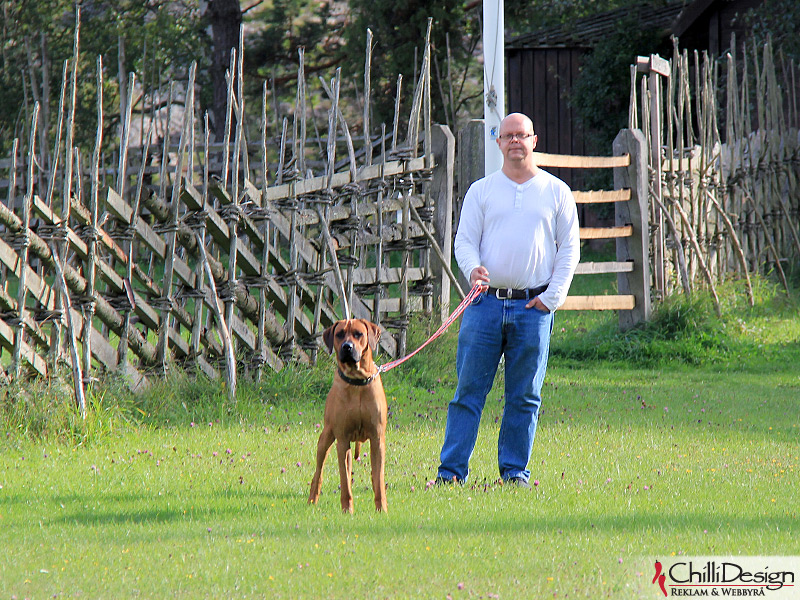 SE JV-12 Kadamo Rob Roy "Dexter" and Tomas at Lojstahall