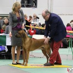 Karin, SE JV-12 Kadamo Rob Roy "Dexter" and the judge