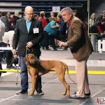 SE JV-12 Kadamo Rob Roy "Dexter", Tomas and the judge