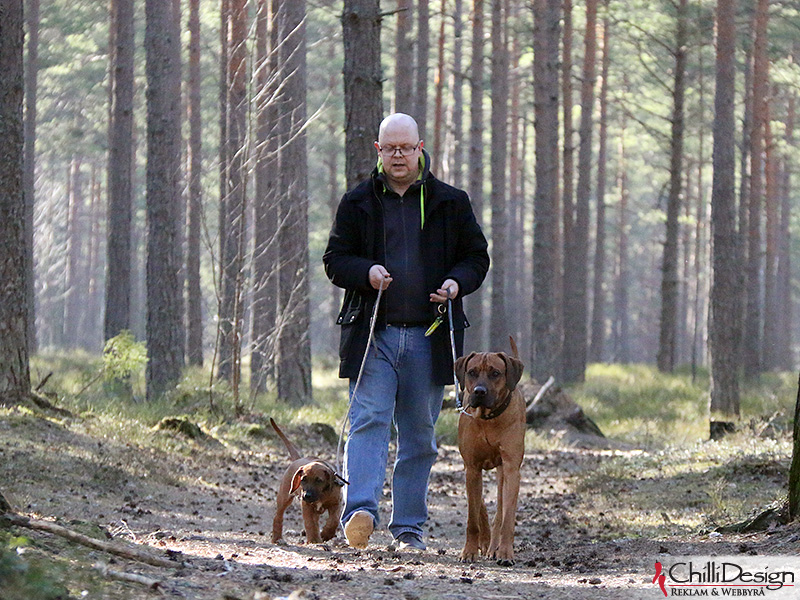 Argos, Tomas and Dexter