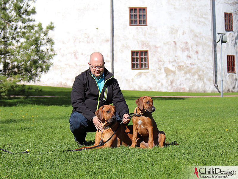 Tomas, Dexter and Argos