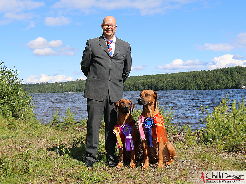 Tomas, Kadamo Nothing But Gold "Argos" and SE JV-12 Kadamo Rob Roy "Dexter"