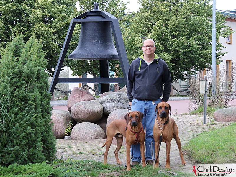 Argos, Tomas and Dexter at Mariehamn