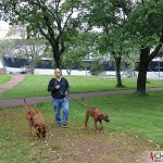 Dexter, Tomas and Argos at Mariehamn