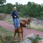 Argos, Tomas and Dexter at Mariehamn