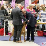 Kadamo Nothing But Gold "Argos", Tomas & the judge