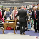 EEUCH, FIUCH, SEUCH, SEJV-12 Kadamo Rob Roy "Dexter", Tomas & the judge