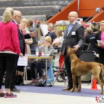 EEUCH, FIUCH, SEUCH, SEJV-12 Kadamo Rob Roy "Dexter", Tomas & the judge