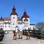 Dexter, Tomas & Argos by Läckö Castle