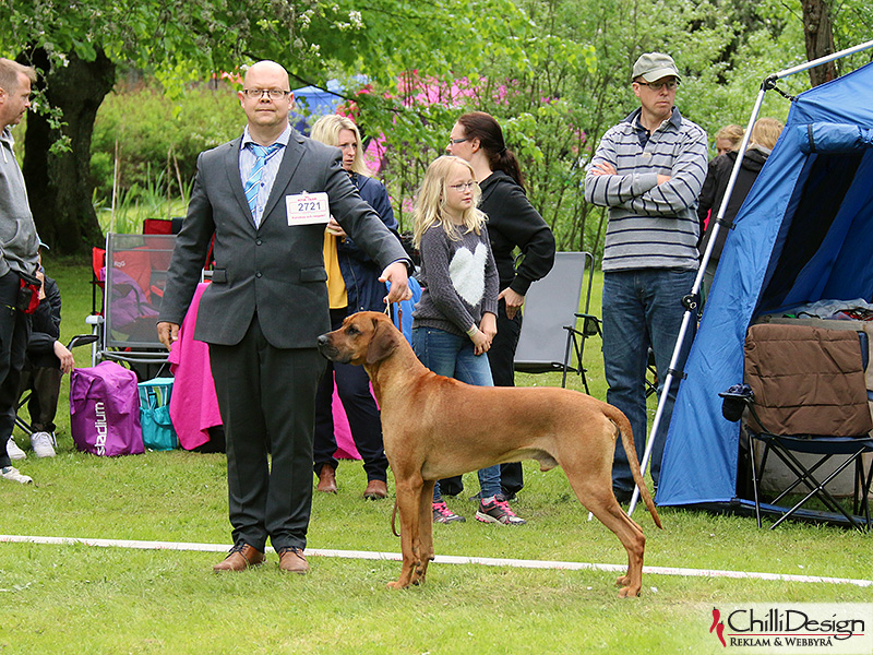 NORDUCH, EECH, SEJW-12 Kadamo Rob Roy "Dexter & Tomas