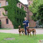 Dexter, Tomas & Argos by King's House
