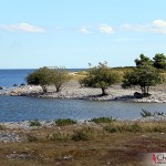 Asunden at Gotland