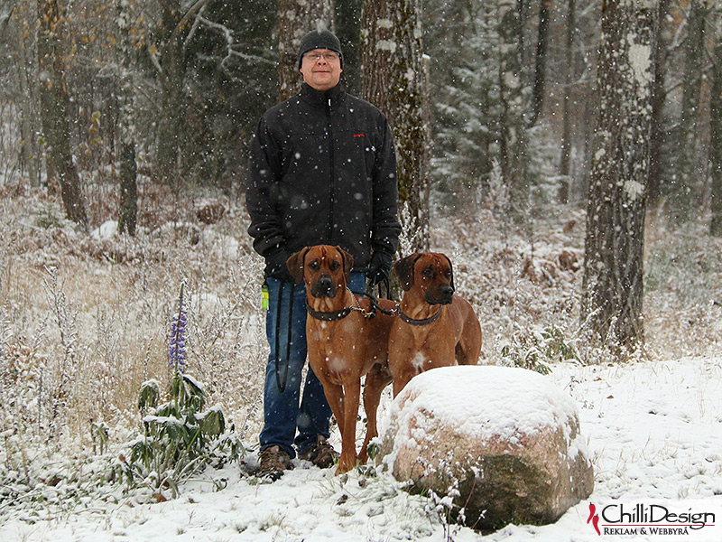 Tomas, Dexter & Argos