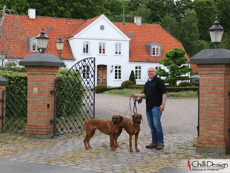 Koya, Argos & Tomas outside our hotell