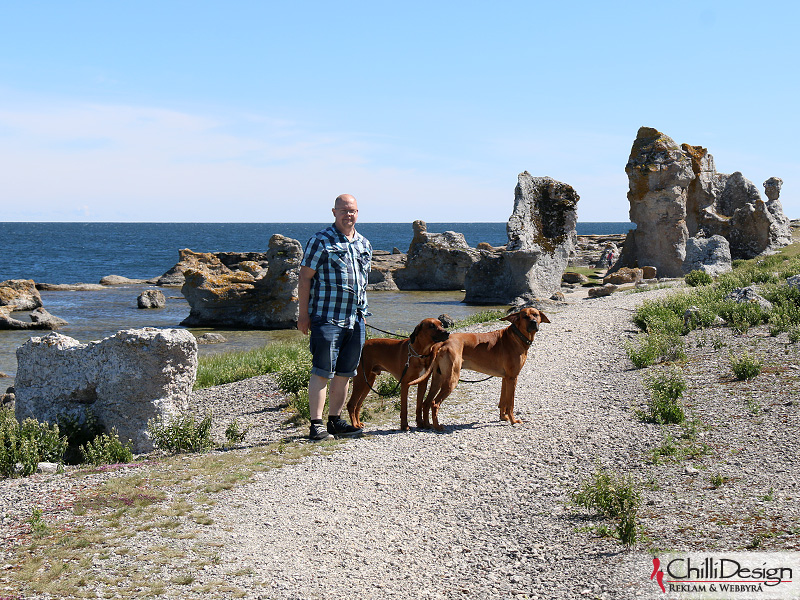 Dexter, Argos and Dexter at Asunden