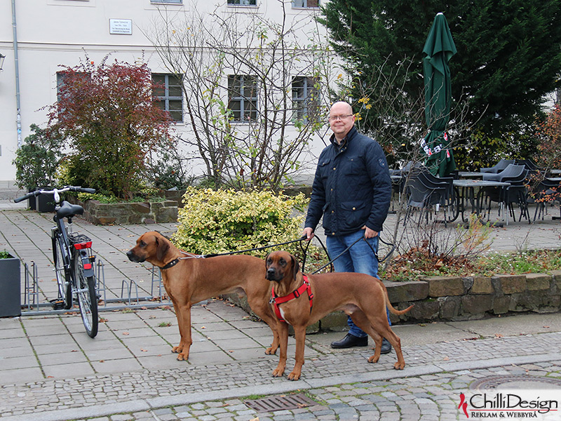 Dexter, Argos & Tomas in Wittenburg