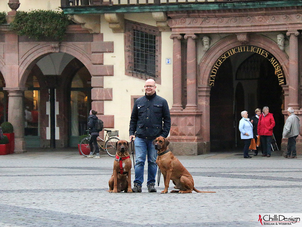 Argos, Tomas & Dexter