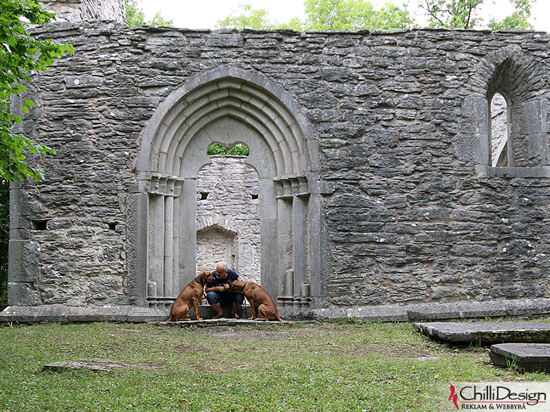 Ehlinghem deserted church