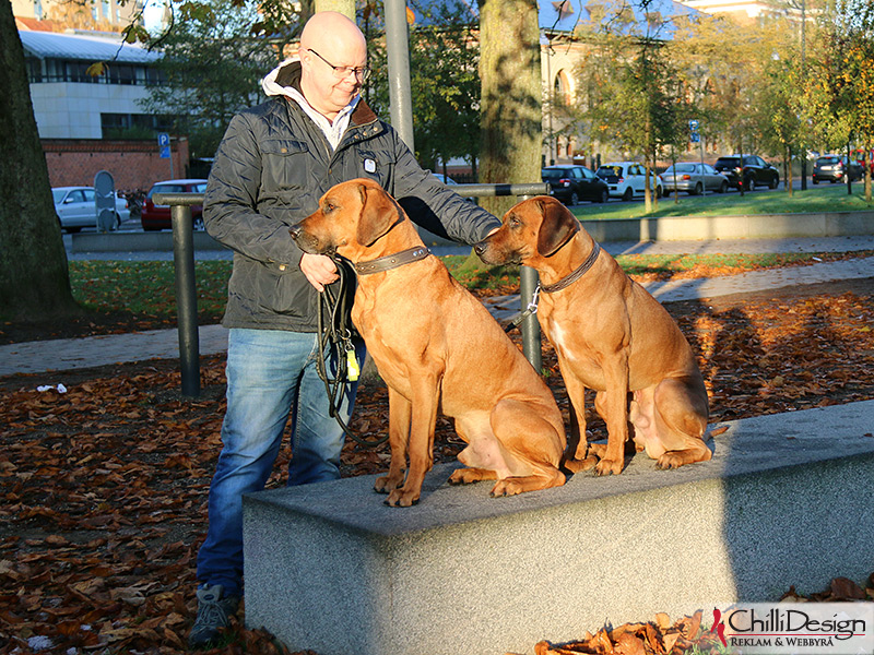 Tomas, Dexter & Argos in the park