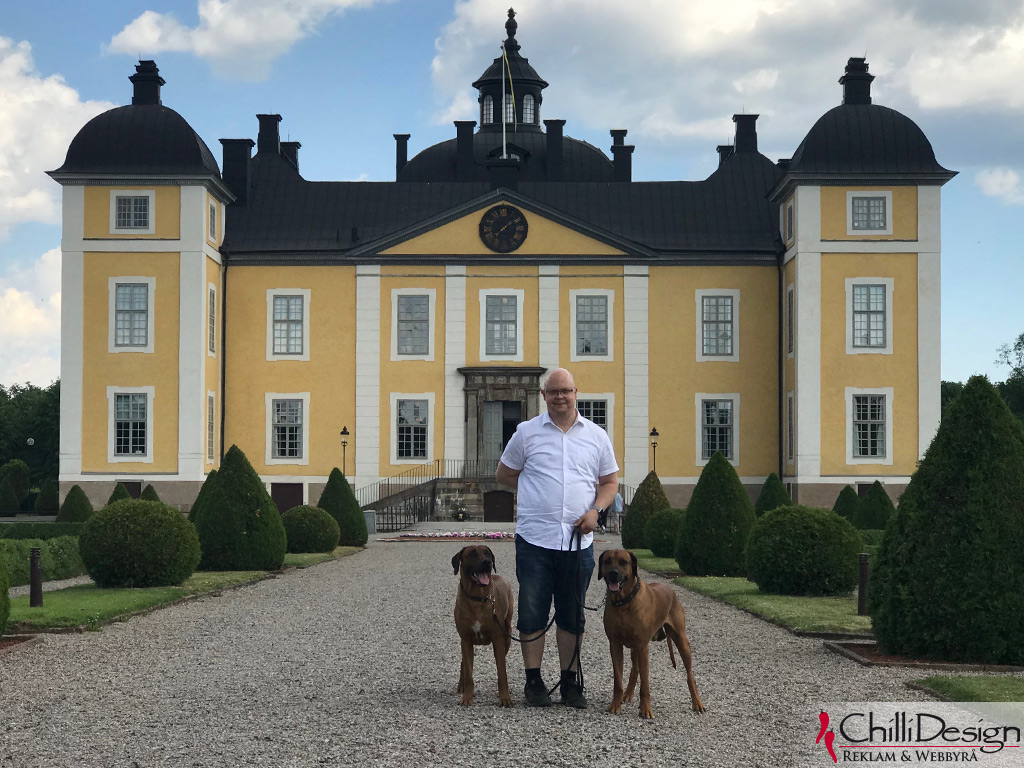 Argos, Tomas & Dexter at Strömholm's palace