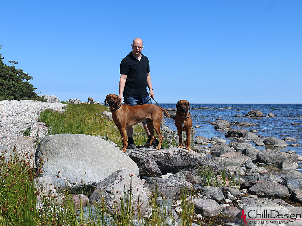 Dexter, Tomas & Argos by the Baltic Sea in Ljugarn