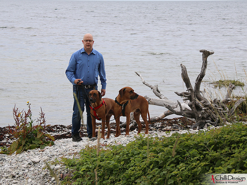 Tomas, Argos & Dexter in Norderstrand