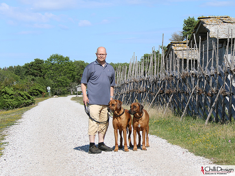 Tomas, Dexter & Argos at Kovik