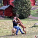 Tomas and Dexter at Jan Karlsgården