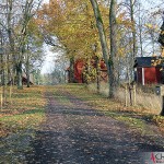 Lind Avenue to the Mansion of Lagersberg