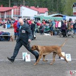 SE JV-12 Kadamo Rob Roy "Dexter" and Tomas