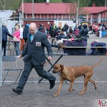 SE JV-12 Kadamo Rob Roy "Dexter" and Tomas