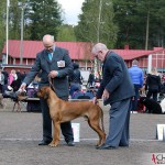 SE JV-12 Kadamo Rob Roy "Dexter", Tomas and the judge