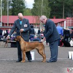 SE JV-12 Kadamo Rob Roy "Dexter", Tomas and the judge