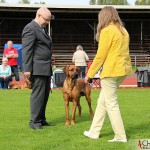 Tomas, SE JV-12 Kadamo Rob Roy "Dexter" and the judge