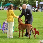Tomas, SE JV-12 Kadamo Rob Roy "Dexter" and the judge in best male