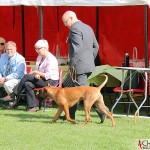 Tomas and Kadamo Nothing But Gold "Argos" running infront of the judge