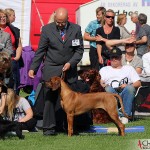 Tomas and Kadamo Nothing But Gold "Argos" in the final ring