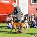 Tomas and Kadamo Nothing But Gold "Argos" in the final ring