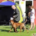 Tomas and Kadamo Nothing But Gold "Argos" in the final ring