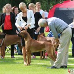 The judge, Karin and SE JV-12 Kadamo Rob Roy "Dexter"