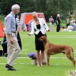 The judge, Karin and SE JV-12 Kadamo Rob Roy "Dexter"