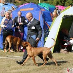 Kadamo Nothing But Gold "Argos" and Tomas