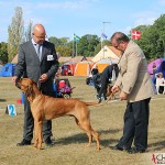 SE JV-12 Kadamo Rob Roy "Dexter", Tomas and the judge