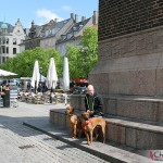 Dexter, Tomas & Argos at the square